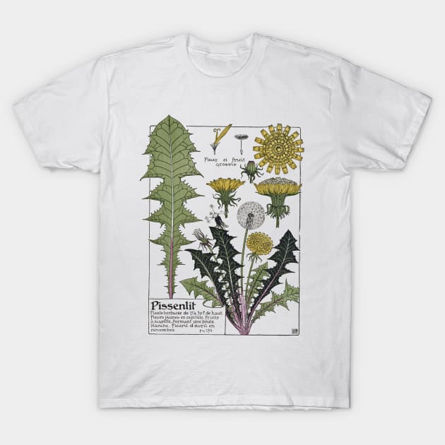 Botanical Dandelion Art Print T-Shirt by vintageinspired